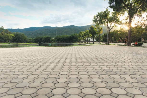 Best Residential Paver Driveway  in Pulaski, NY